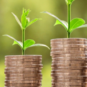 Fundraising Certificate Program