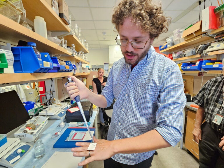 Temple University engineers tap into the powers of soy to heal wounds