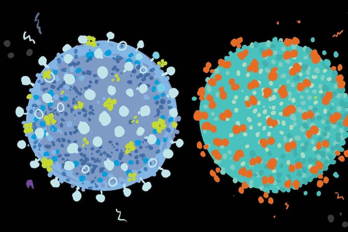 ‘Flurona’ is real, but don’t panic—it’s common to get two viruses at once 