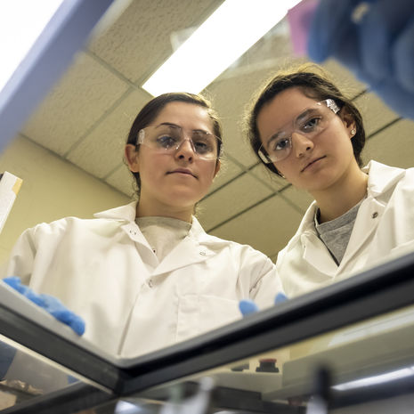 two researchers in the College of Science and Technology in a lab.