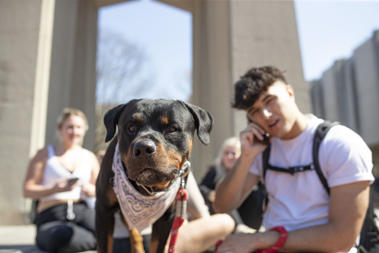 An image of a dog and student sitting in front of the belltower.